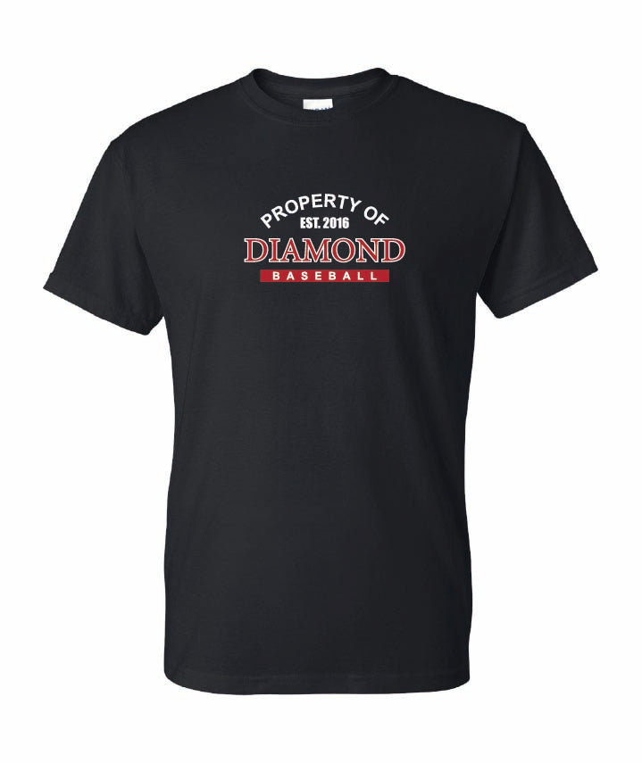 Gildan Adult T-Shirt Dryblend