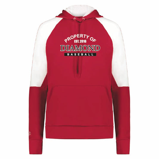 Holloway Ladies Momentum Team Hoodie