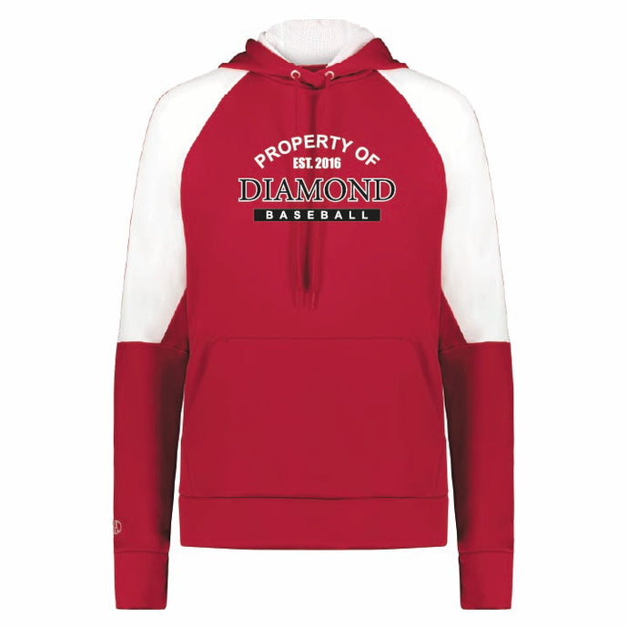 Holloway Ladies Momentum Team Hoodie