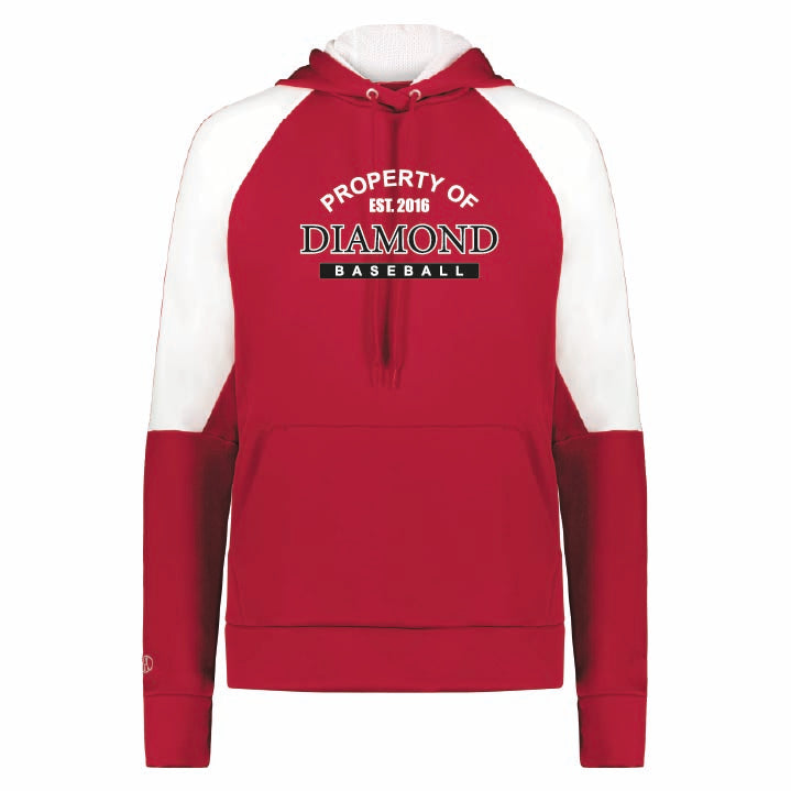 Holloway Ladies Momentum Team Hoodie