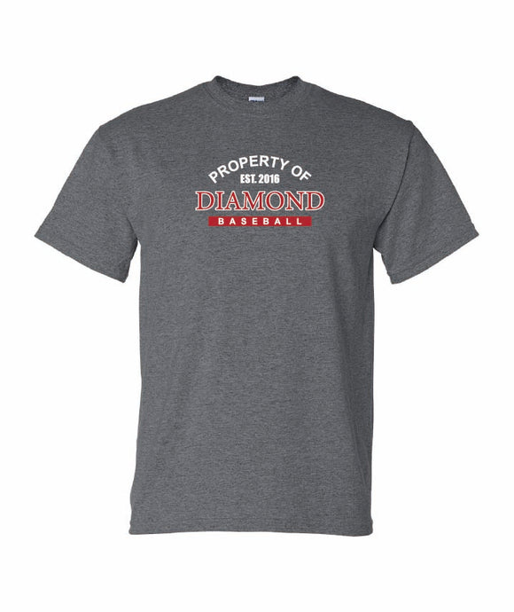 Gildan Adult T-Shirt Dryblend