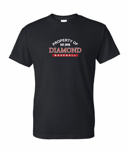 Gildan Youth T-Shirt Dryblend