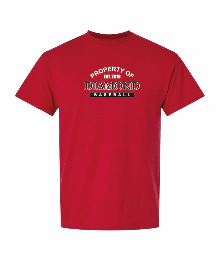 Gildan Youth T-Shirt Dryblend