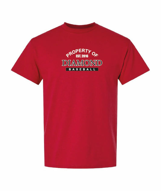 Gildan Youth T-Shirt Dryblend