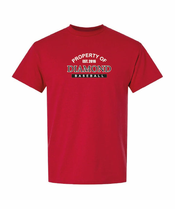 Gildan Youth T-Shirt Dryblend