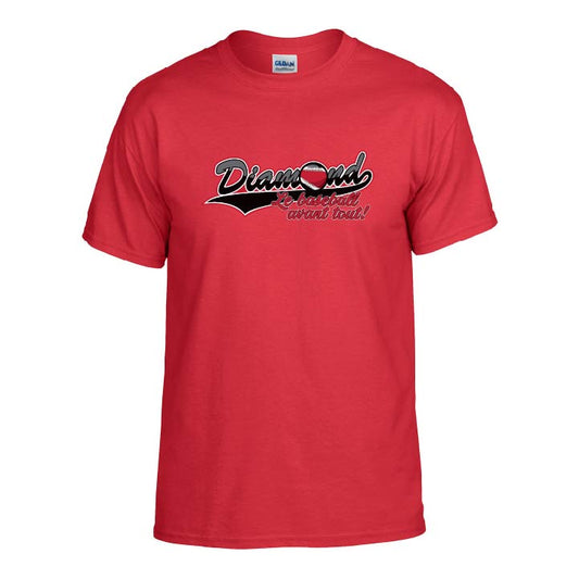 Gildan Adult T-Shirt Dryblend